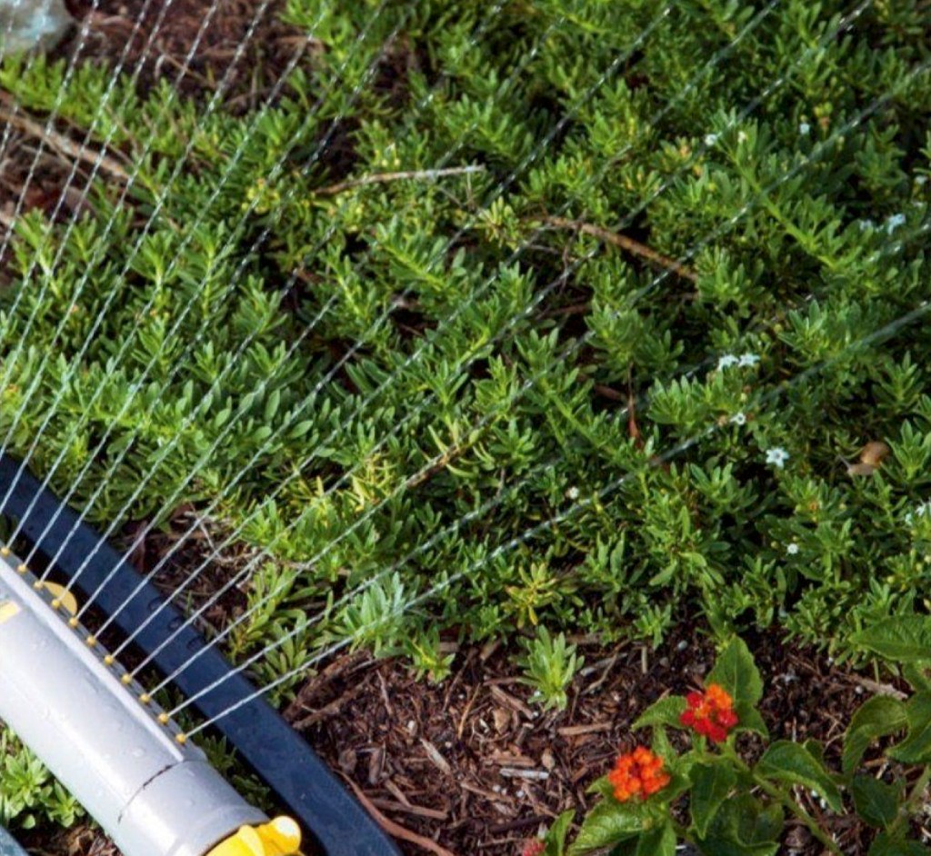 Plant care during holidays