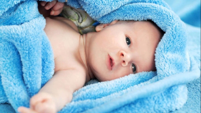 Fertility Treatment Options