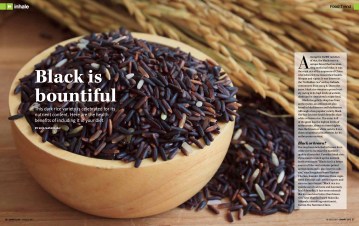 Blackrice-article
